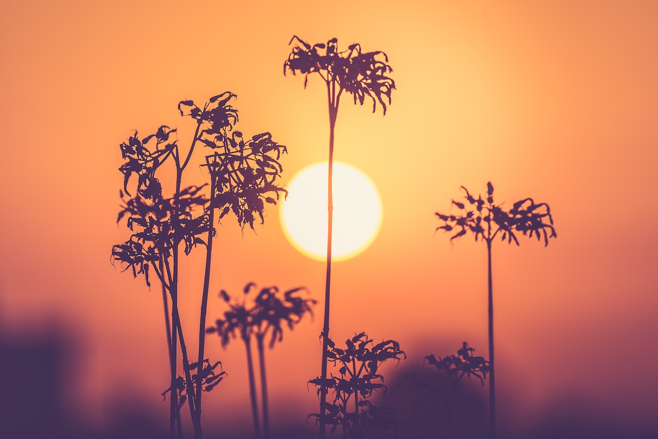 Personne profitant du soleil en plein air, exposition bénéfique