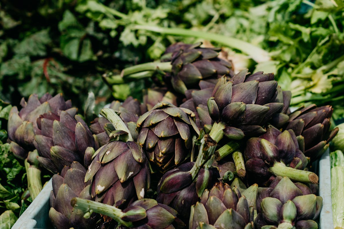 Comment cuisiner les artichauts