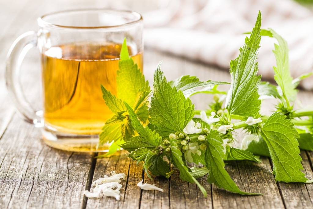 dangers de la tisane ortie